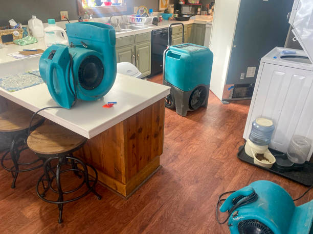Best Water damage cleanup near me  in Oakhurst, CA