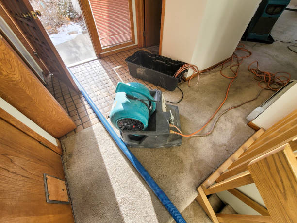Best Basement water damage restoration  in Oakhurst, CA