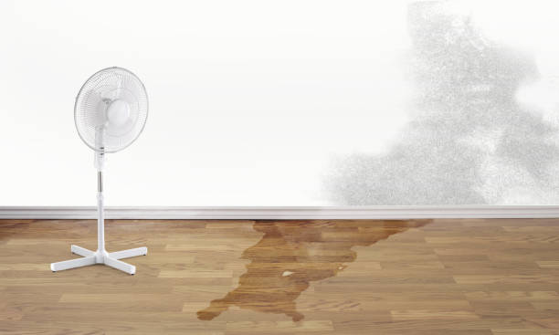 Best Water damage restoration experts  in Oakhurst, CA