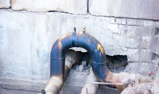 Best Professional water damage repair  in Oakhurst, CA